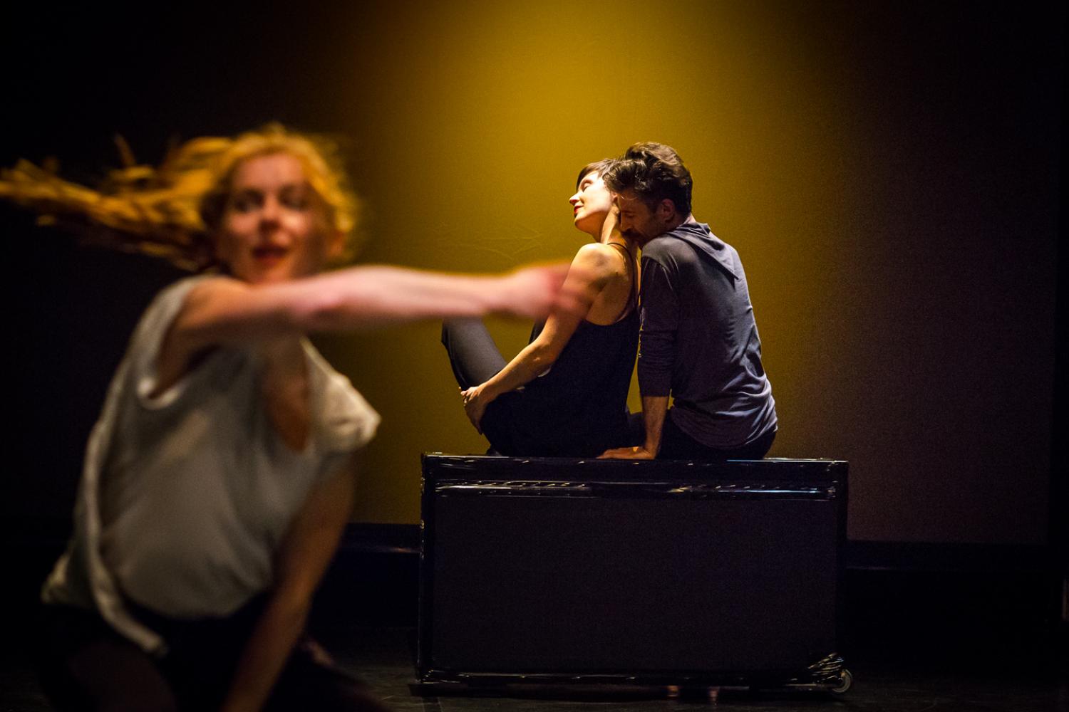 TRANSMIGRAZIONE DI FERMENTI D'AMORE