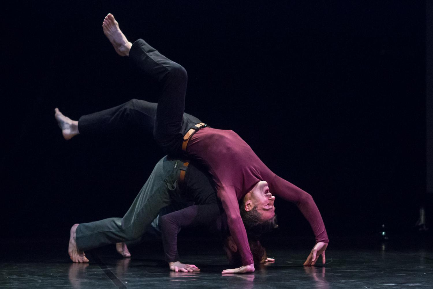 TRANSMIGRAZIONE DI FERMENTI D'AMORE